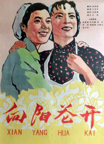 欧美第一视频